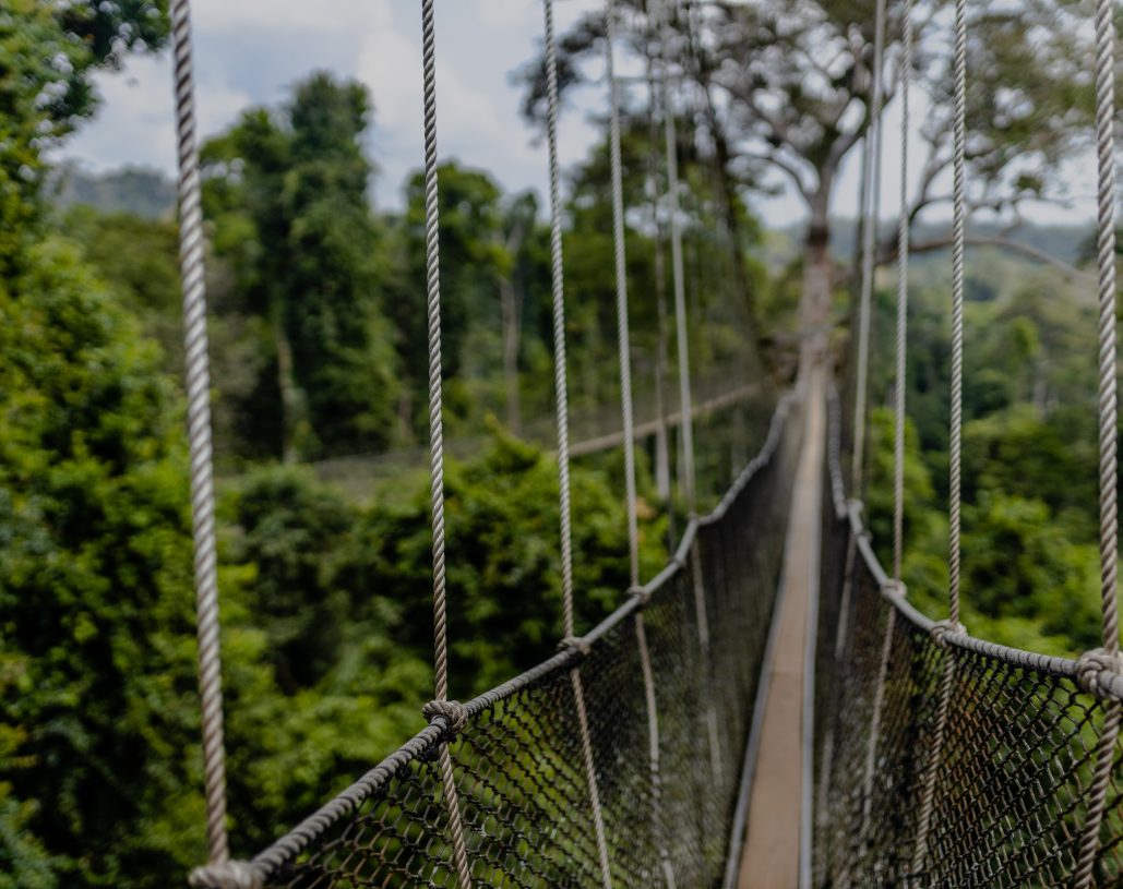 a6038639add8c012015e09132f863a9d